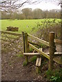 Stile on Coneyhurst Lane