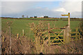 View to Calke Hall Farm