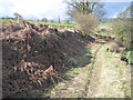 Spoon Lane footpath