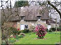 Thatched cottage on corner of Rookery Lane