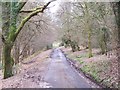 Lane in the woods on Castle Hill