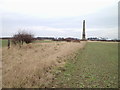 NZ3275 : Obelisk near Seaton Delaval Hall by david appleby