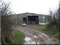 Barn and sheep near Trevella