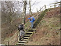 Footpath Staircase leading to Horse Close