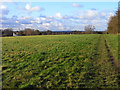 Pasture, Three Mile Cross