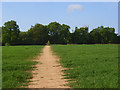 Farmland, Winnersh