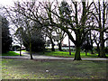 Croydon:  Commercial House, seen through the trees of Wandle Park