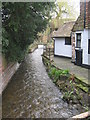 The Nailbourne Stream in Bridge