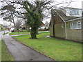 Trees on Harrow Lane