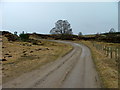 Track to Wester Lairgs