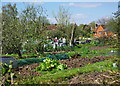 Allotments, St. Cross, Winchester