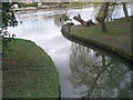 Entrance and exit to Saxon Moorings