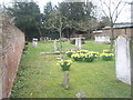 Spring in the churchyard at Old Windsor (5)