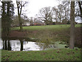 Pond near Haseley Hall