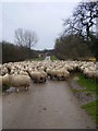 Rush hour at Chequer bridge