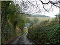 Narrow lane to Lower Knapp Green