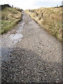 Looking North up the Midshires Way