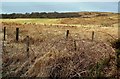 Rough Grazing Near Ballygrant