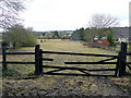 Pasture north of Ox Drove