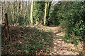 Footpath to Hook Heath