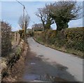 The Llangybi road north of Gwenallt