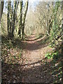 TR1652 : Footpath in Gorsley Wood by David Anstiss