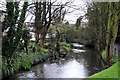 Beddington:  River Wandle