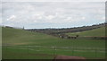 TR1652 : View towards Middle Pett Farm by David Anstiss