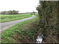 TM1883 : View north-east along Pulham Road by Evelyn Simak