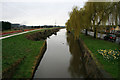 Beeston Canal bank stripped bare