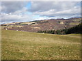 Looking north from grassland near Craig Monie