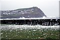 Sea defences, Borth