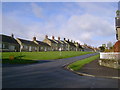 Coxwold,  not  a  busy  street