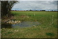 SP0237 : Small pond near Sedgeberrow by Philip Halling