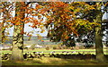 Semi-rural scene at Cubley, Penistone