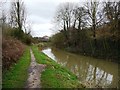 Chesterfield Canal, upstream of Dog Kennel Bridge