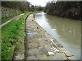 Moorings on the Chesterfield Canal