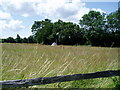 Field with tipi