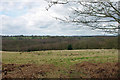 View north-west from Freshfield Lane