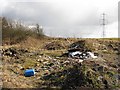 Dumped rubbish, Holytown