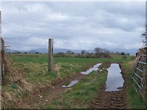 SH4442 : View south-eastwards from a field gateway on the Ynys Creua road by Eric Jones