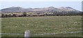 View north across manured pasture land towards the Gurn Hills