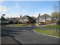 Bungalows in Hollinghurst Close