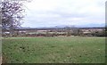 The countryside east of the Cadair Elwa lane