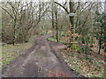 Footpath and private drive to Stumblewood and Stone Croft