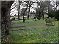 Churchyard at St Mary, Storrington (1)