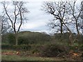 Farmland off the B4411 with Moel Ednyfed in the background