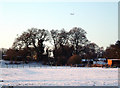 Green Belt near Canford Magna