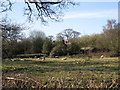 Wet field, Holly Farm, Beausale