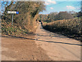 Lanes in the Kempley Brook valley